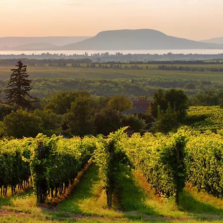 In 19492 * Balatonmáriafürdő