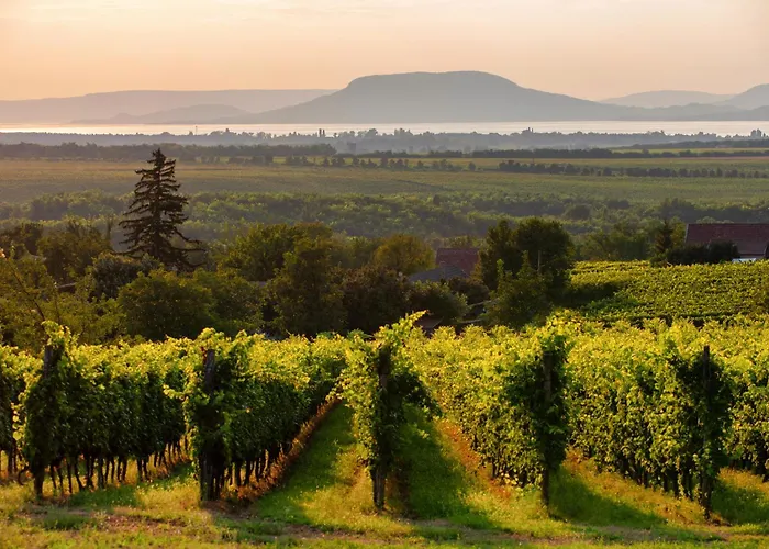 In 19492 * Balatonmáriafürdő